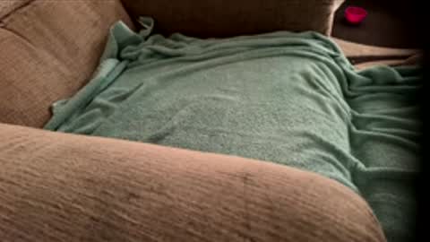 dcooper92 online show from April 2026 01:05:01 PM