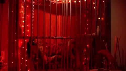 Snapshot of ddevourskitty chatting on February 2026 05:37:01 AM D Devours Kitty online show from February 2026 05:37:01 AM