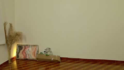 Snapshot of deanlek chatting on February 2026 08:45:02 PM Dean online show from February 2026 08:45:02 PM