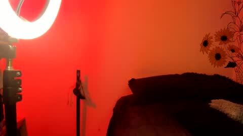 venus  adam online show from December 2024 02:31:02 AM