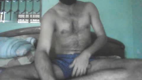 Snapshot of deb_7 chatting on November 2025 05:29:01 AM Haddock 07 online show from November 2025 05:29:01 AM