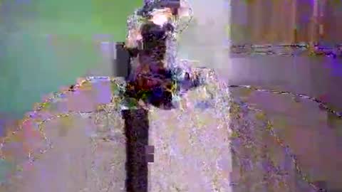 Dee4dayz online show from June 2026 01:51:02 AM