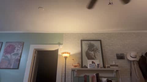 Tori online show from December 2025 05:13:01 AM