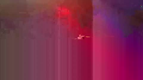 Snapshot of den2807 chatting on May 2026 10:49:02 PM den2807 online show from May 2026 10:49:02 PM