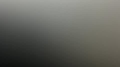 Deni Loss online show from June 2026 11:31:01 PM