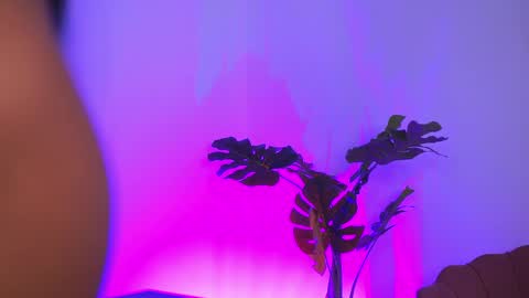 denisedevilles online show from April 2026 08:07:01 PM