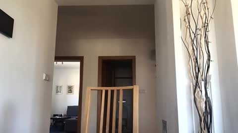 desirtexz online show from April 2026 08:06:02 AM