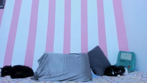 Johana online show from March 2026 02:16:02 AM