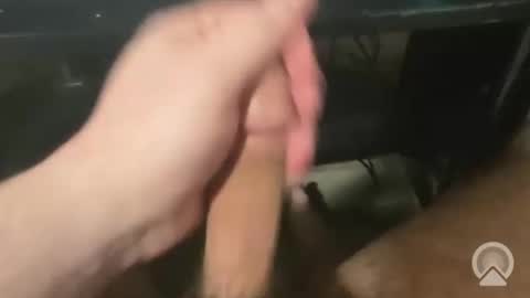 devin255395 online show from December 2025 07:45:02 PM