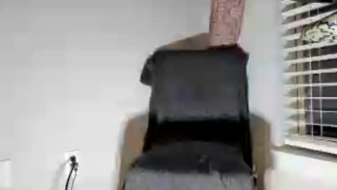 Snapshot of dextercollins chatting on June 2026 09:03:01 AM Dextercollins online show from June 2026 09:03:01 AM