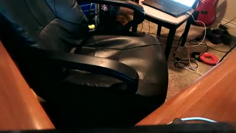 dfwgonewrong online show from December 2024 03:50:02 AM