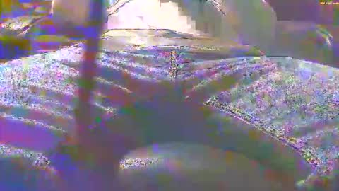 dfwgonewrong online show from November 2025 04:47:02 AM