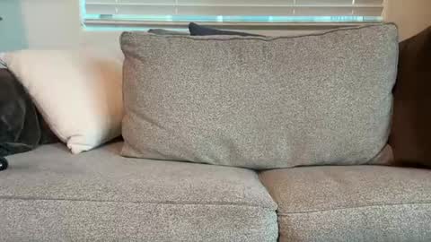 dgafsd online show from December 2025 03:27:02 PM