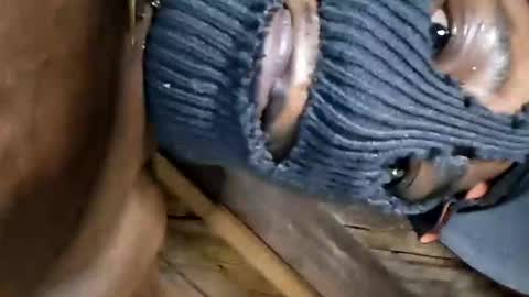 Marcus D-von Steel as the raunchy ass sniffer thrill me with your online show from October 2025 07:15:01 AM