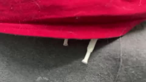 diag033014 online show from February 2026 12:15:02 AM