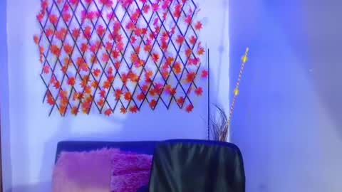 Snapshot of diana_serna chatting on January 2025 04:43:01 PM Diana online show from January 2025 04:43:01 PM