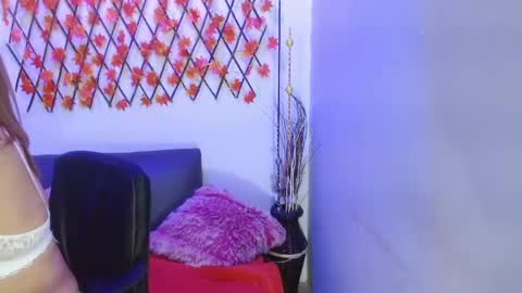 Snapshot of diana_serna chatting on January 2025 10:29:02 AM Diana online show from January 2025 10:29:02 AM