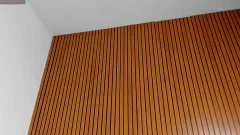 Snapshot of diane_melo chatting on February 2026 03:32:02 AM DIANE online show from February 2026 03:32:02 AM