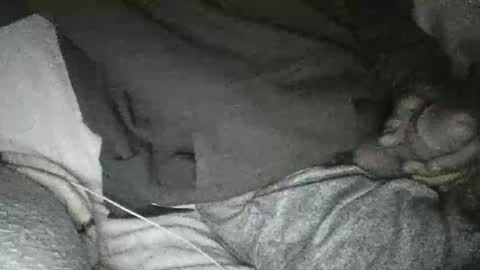 dick online show from January 2025 11:33:01 AM