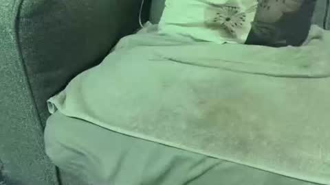 Snapshot of dickwack4u chatting on January 2026 02:24:01 AM dickwack4u online show from January 2026 02:24:01 AM