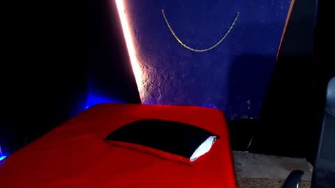 Snapshot of diego__cruz chatting on December 2024 11:32:02 AM Diego online show from December 2024 11:32:02 AM