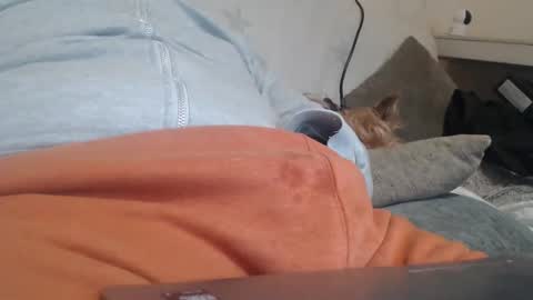 DiegoVLC online show from March 2026 11:37:02 AM