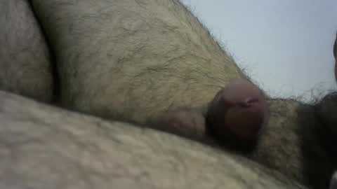 Bob online show from December 2024 04:09:02 PM