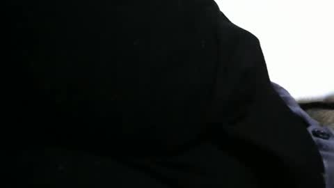 Bob online show from January 2025 10:46:01 PM