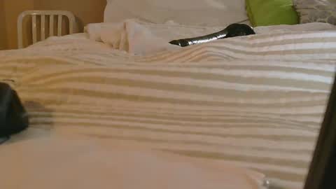 dildosnme22 online show from February 2026 11:14:02 AM