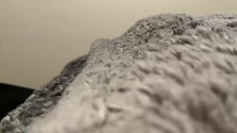 Snapshot of dino202310 chatting on October 2025 02:58:02 AM dino202310 online show from October 2025 02:58:02 AM