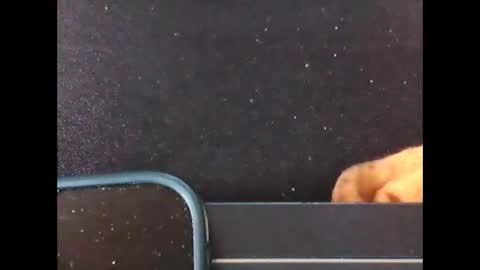 Snapshot of diogominer2 chatting on November 2025 12:27:02 PM diogominer2 online show from November 2025 12:27:02 PM