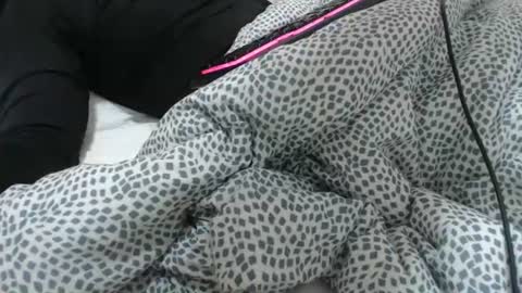 Z online show from February 2026 11:48:01 AM