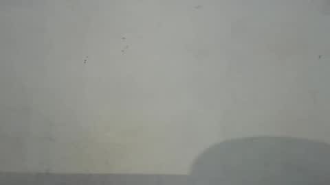 dirtiplay online show from February 2025 01:37:01 AM