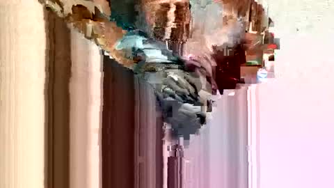 Snapshot of dirtmcgirt82 chatting on February 2025 05:26:02 AM dirtmcgirt82 online show from February 2025 05:26:02 AM