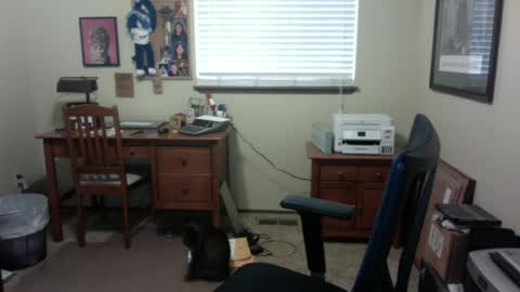 Snapshot of dirtrider195080438 chatting on June 2026 04:46:01 PM dirtrider195080438 online show from June 2026 04:46:01 PM