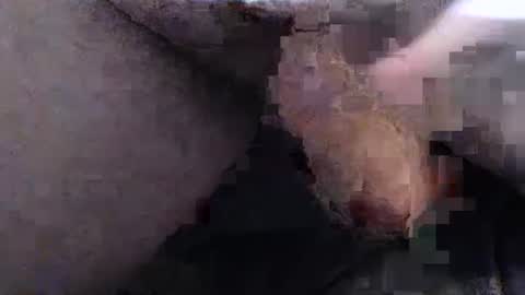 dirtyadventurer online show from January 2025 06:41:02 PM