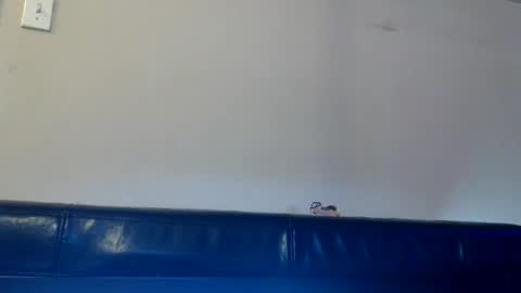 Daisy Wylde online show from November 2025 01:32:02 PM