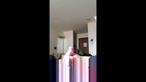 discreetmt online show from June 2026 01:42:01 PM