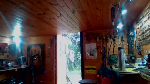 Snapshot of discretopasivo chatting on June 2026 05:00:02 PM discretopasivo online show from June 2026 05:00:02 PM