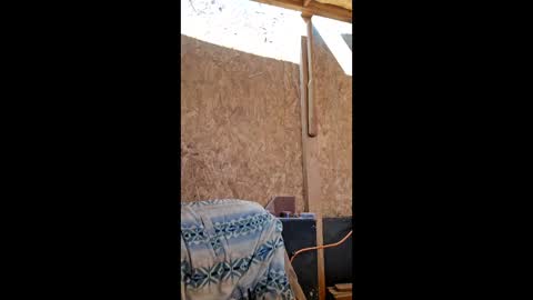 dispuestoatod online show from December 2025 07:32:01 PM