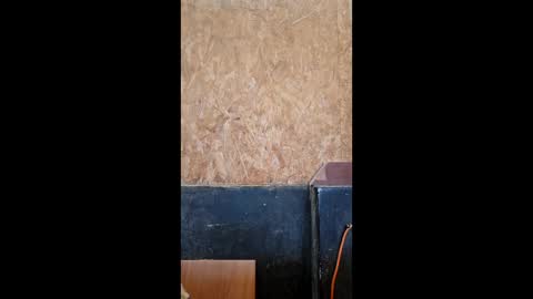 dispuestoatod online show from December 2025 08:27:01 PM