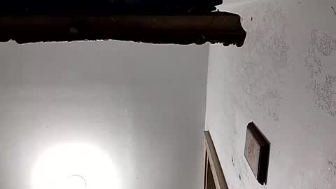 Snapshot of dixonbird41 chatting on February 2025 03:54:02 PM dixonbird41 online show from February 2025 03:54:02 PM