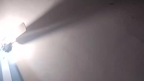 Snapshot of dixonbird41 chatting on February 2025 06:20:01 PM dixonbird41 online show from February 2025 06:20:01 PM