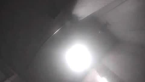 dixonbird41 online show from April 2026 09:45:02 AM