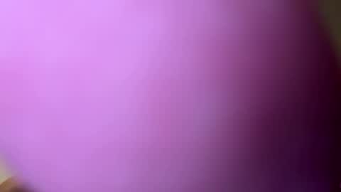 Snapshot of djacko681 chatting on January 2025 05:09:01 PM djacko681 online show from January 2025 05:09:01 PM