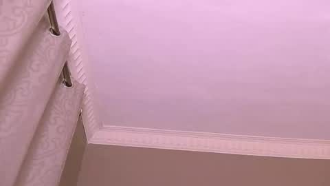 DMAN online show from December 2024 06:49:02 PM