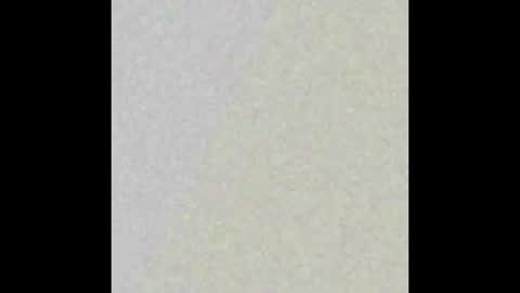 dmtuda11 online show from March 2026 07:47:01 AM