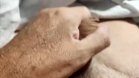 Snapshot of dockydick chatting on October 2025 12:00:01 AM dockydick online show from October 2025 12:00:01 AM