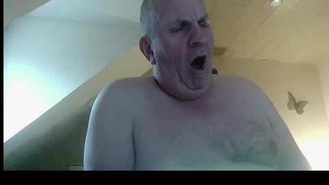 doggy2629 online show from February 2026 04:18:01 PM