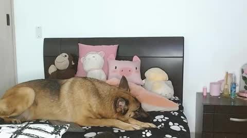 Auro and Santiago online show from March 2025 02:49:02 AM